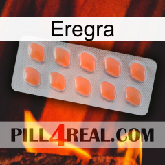 Eregra 26